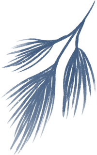 Spruce Leaf Watercolor